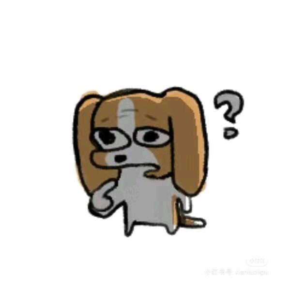 晓伍