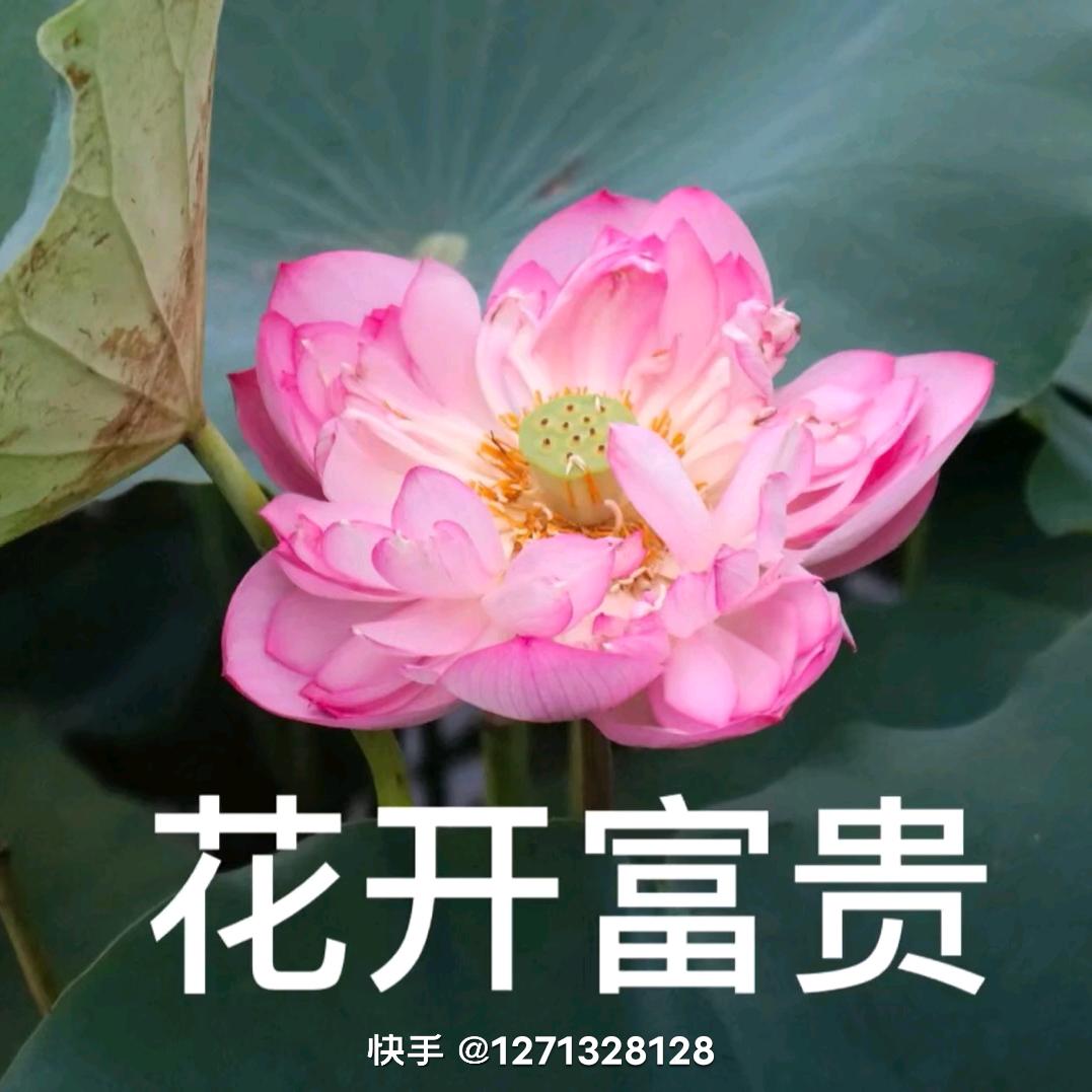 叁函优品百货店