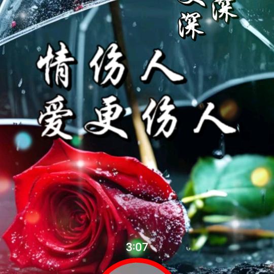 星语心愿