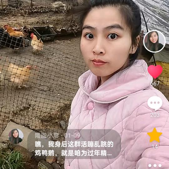 小廖小hao