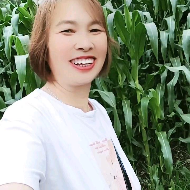 桃飞姐
