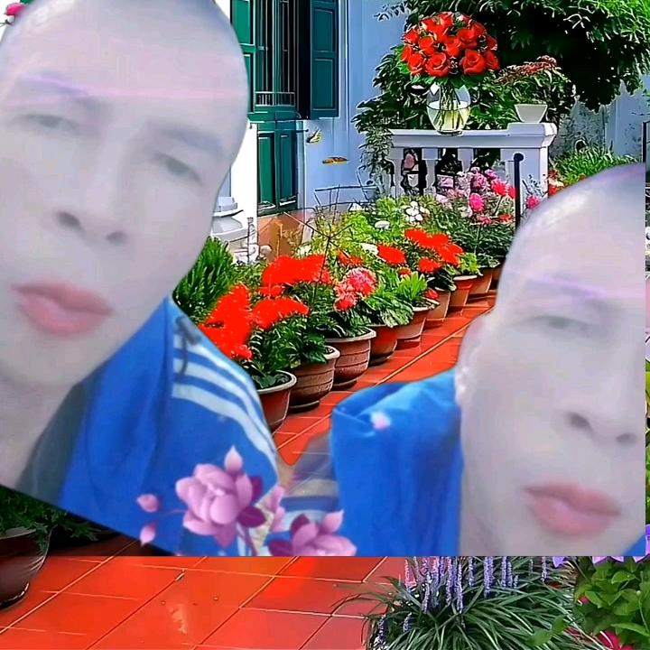 高富帅
