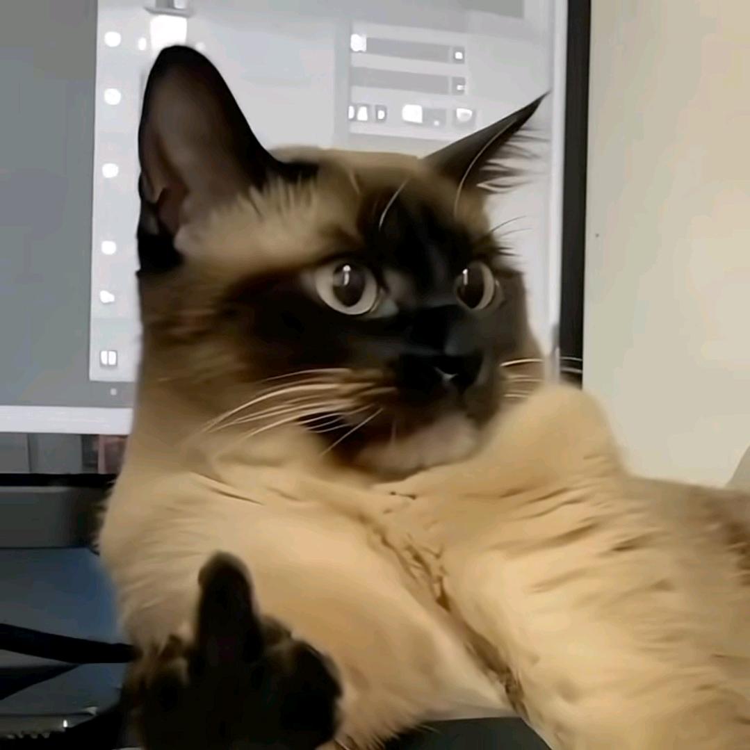 匿名