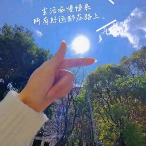 🌸云淡风轻🌸