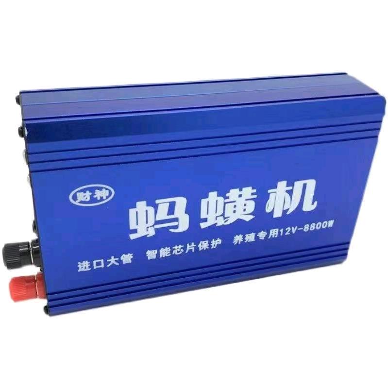 河北农村人户外蚂蝗