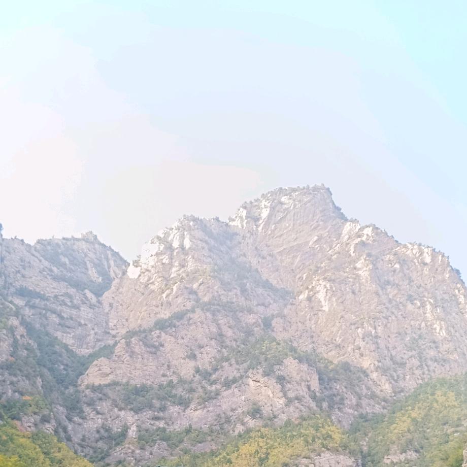 大自由导师