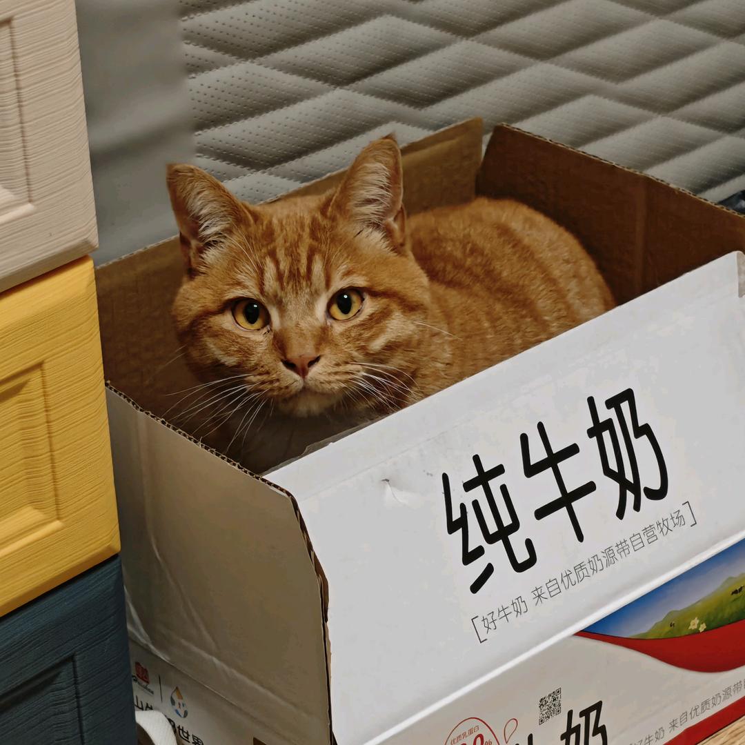 走路嚣张 妖魔慌张