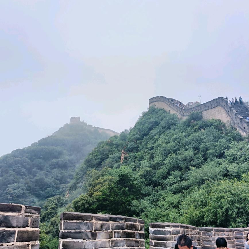 人间清醒