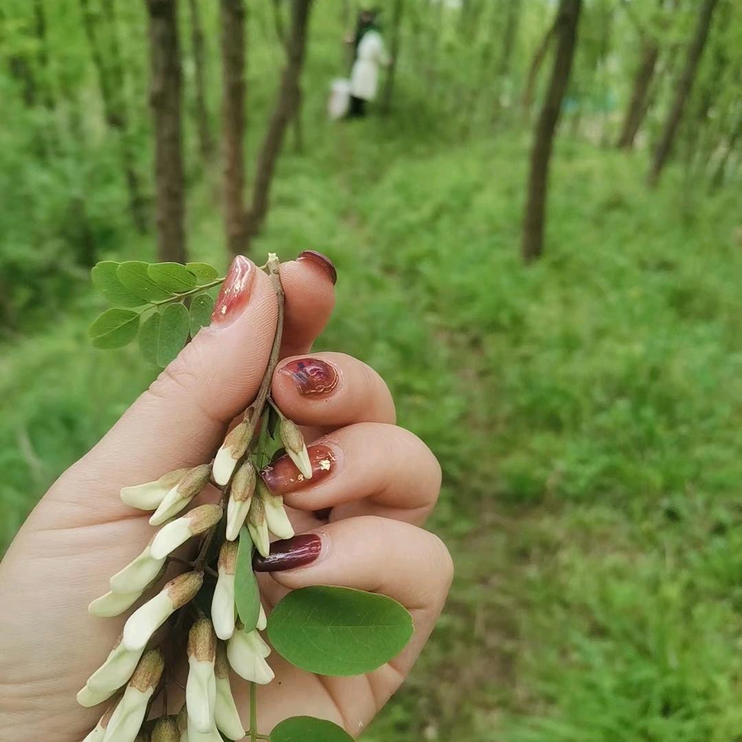 法曼儿_冬天里的霞光