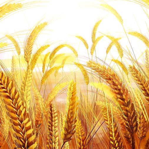 装修一条龙服务