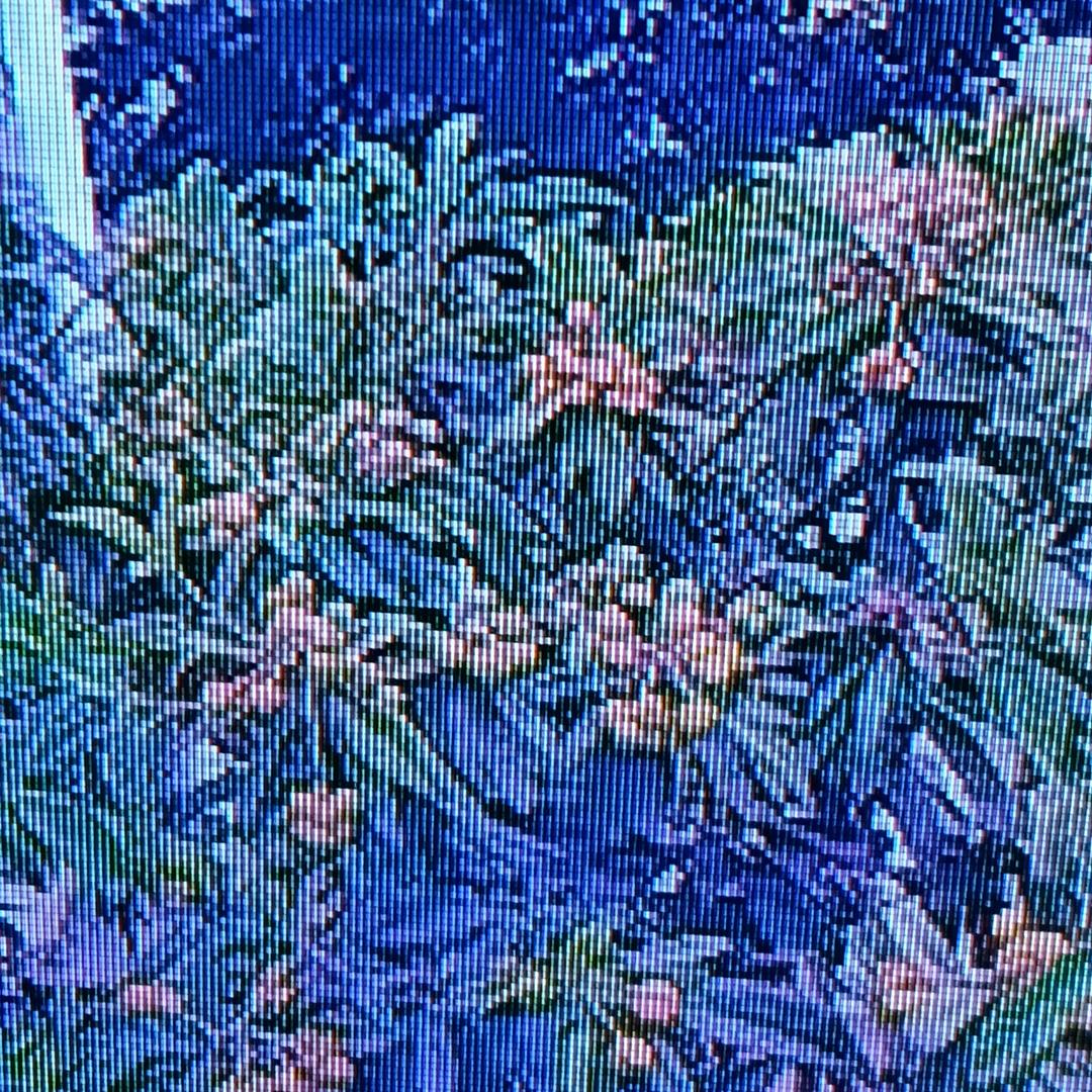 老马识途