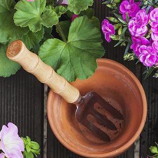 摸个小时人教版