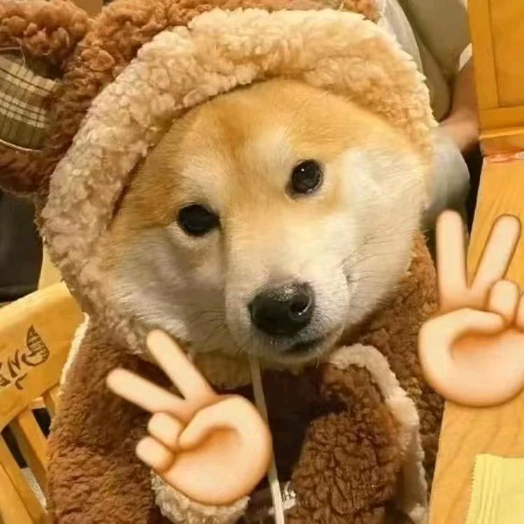 跑不快的zzj