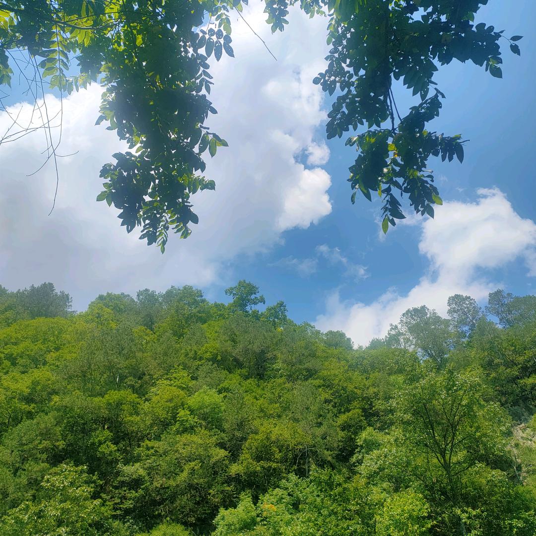 小Yang又困ˡᵃ💤