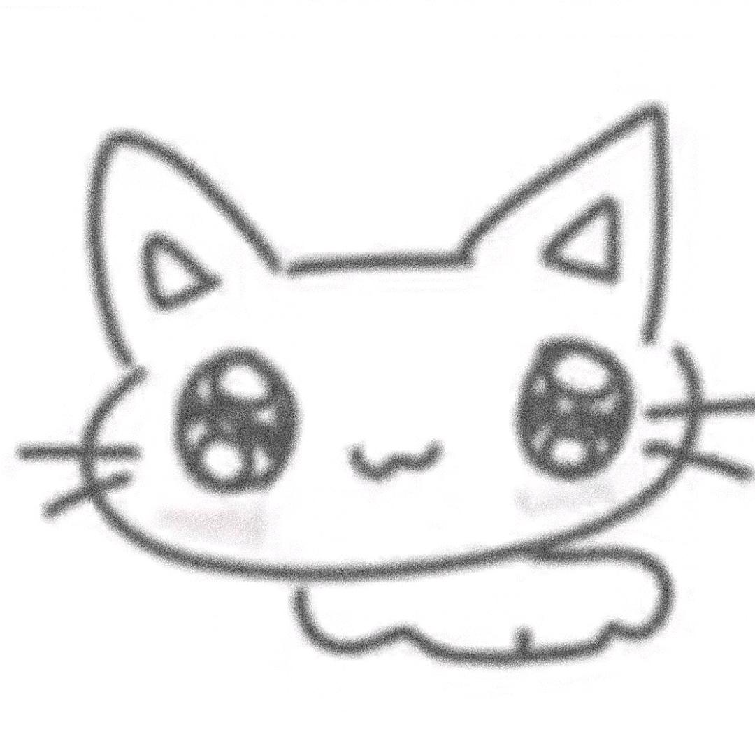 空猫猫