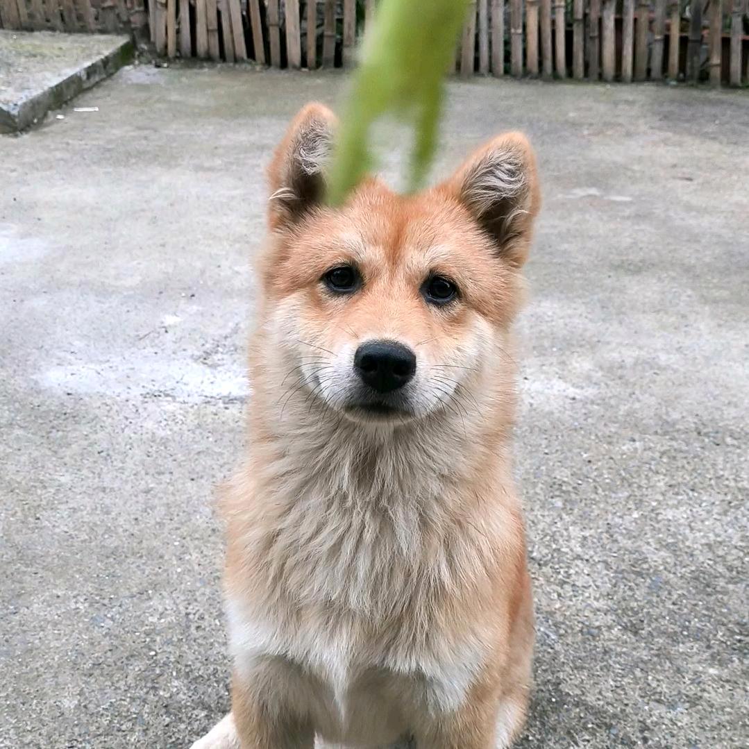 今天天气真好