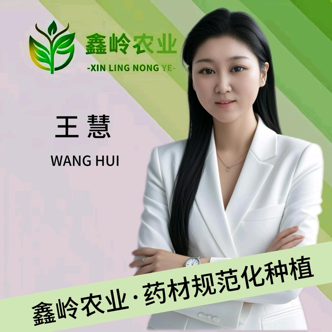 鑫岭农业-王慧1