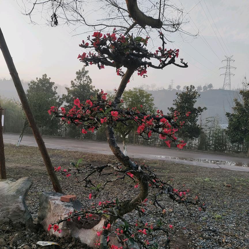 好物在橱窗