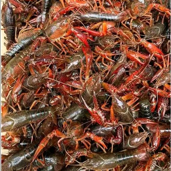 盱眙守村农产品