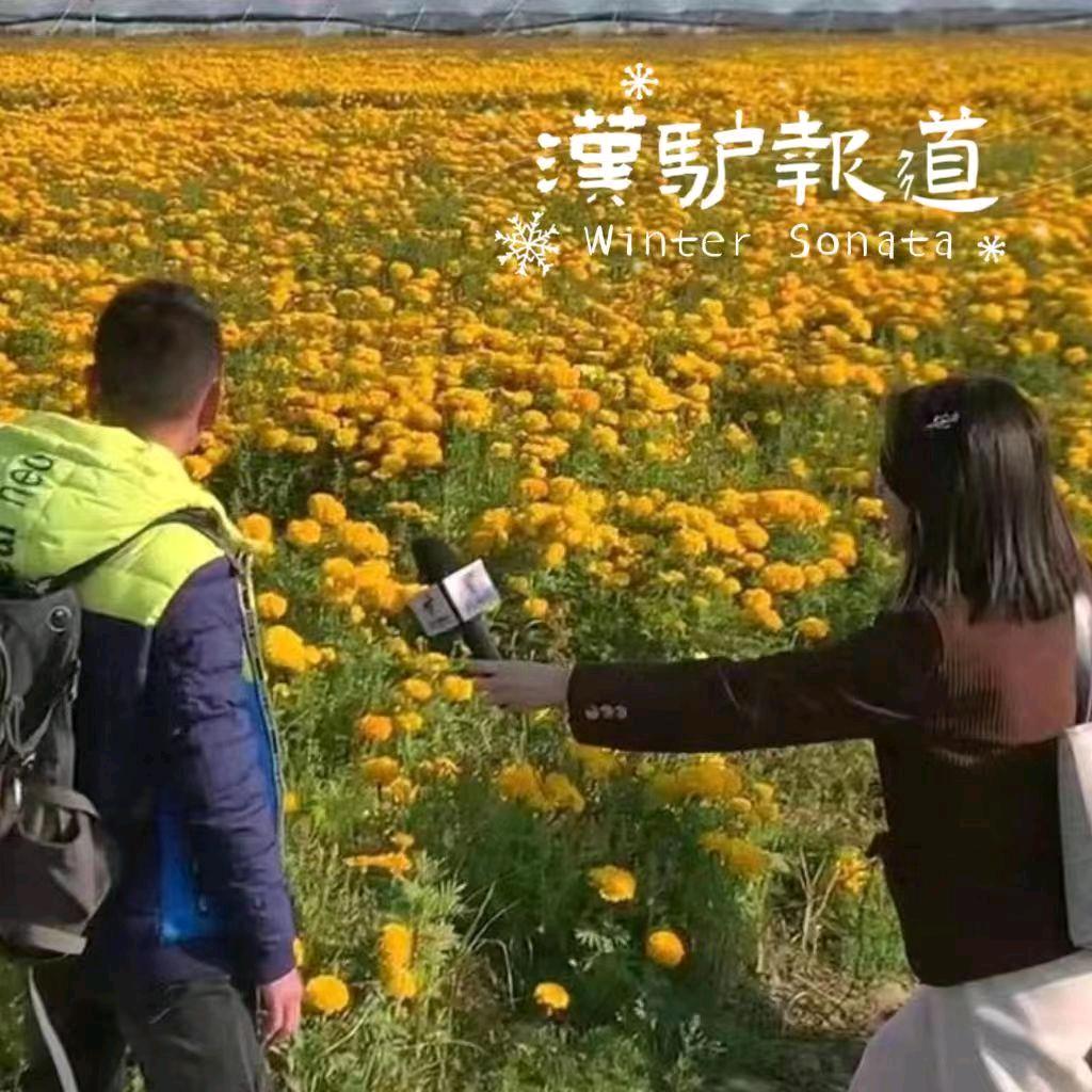 漢驴报道 💯