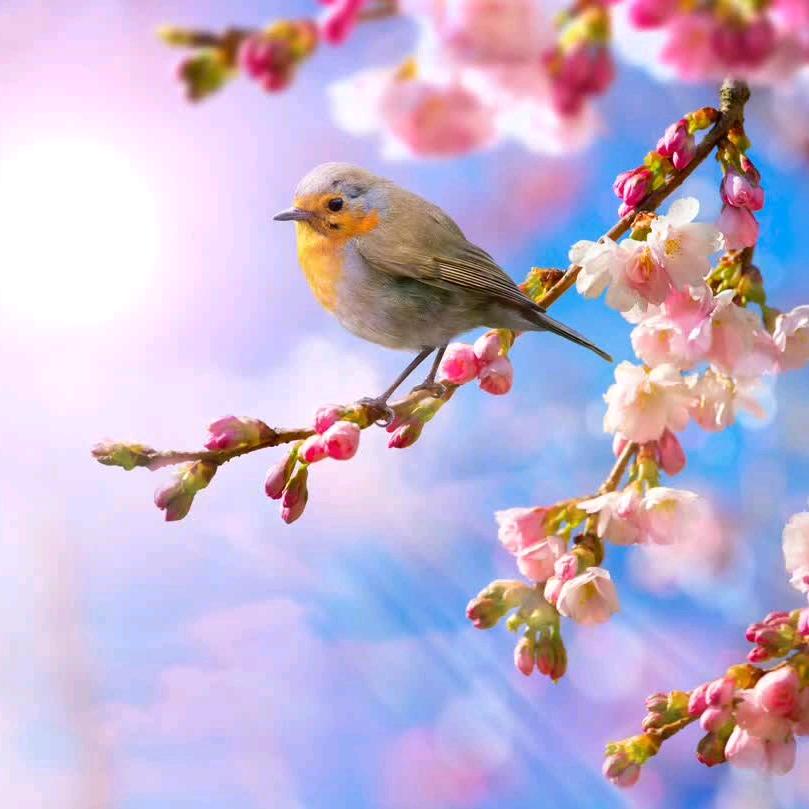 各自安好
