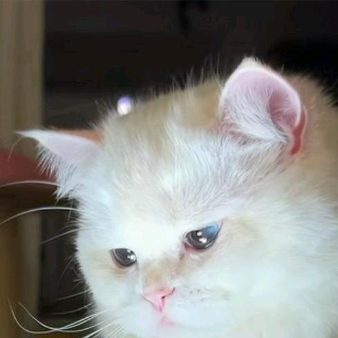 蚌埠医科大学热心学姐