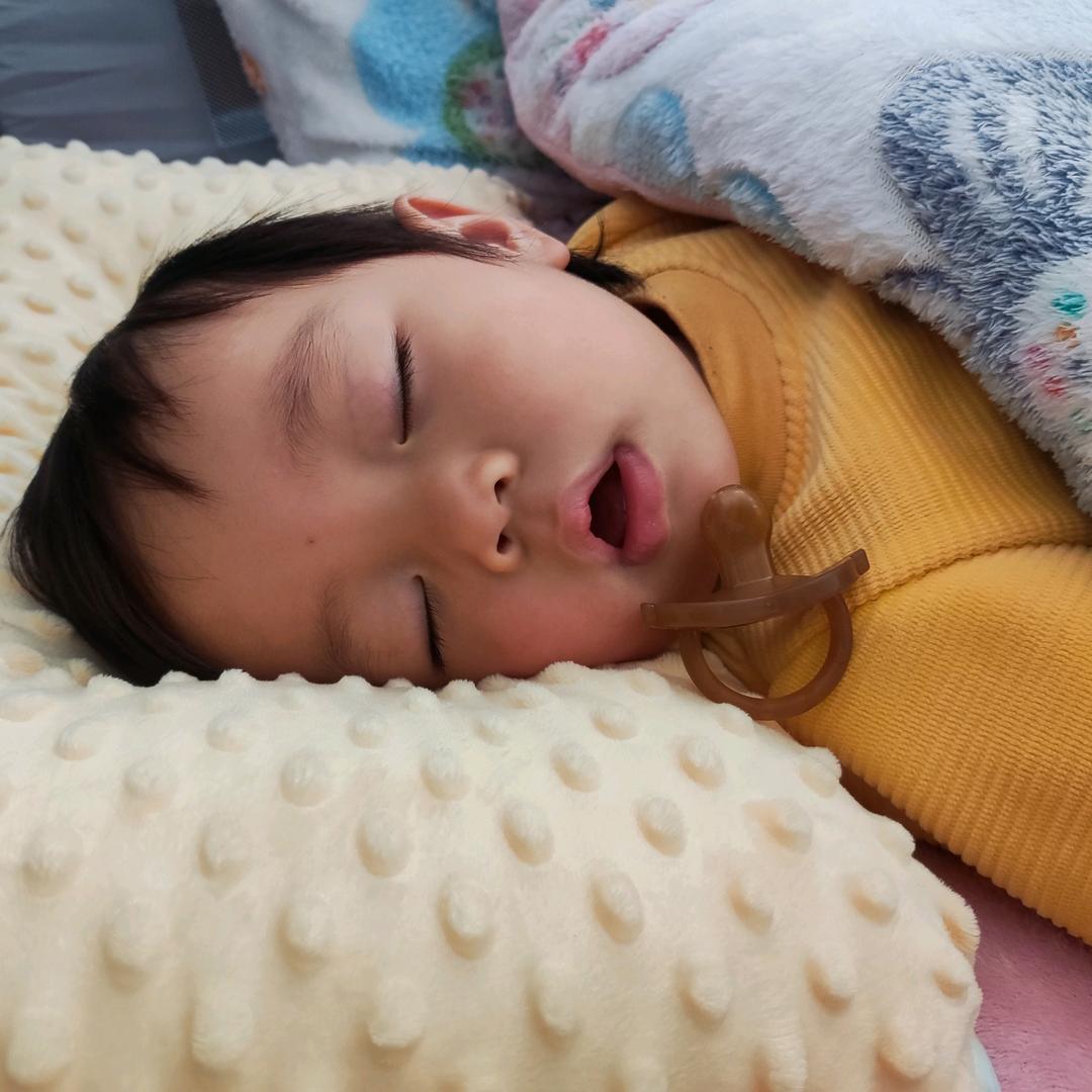 皖北