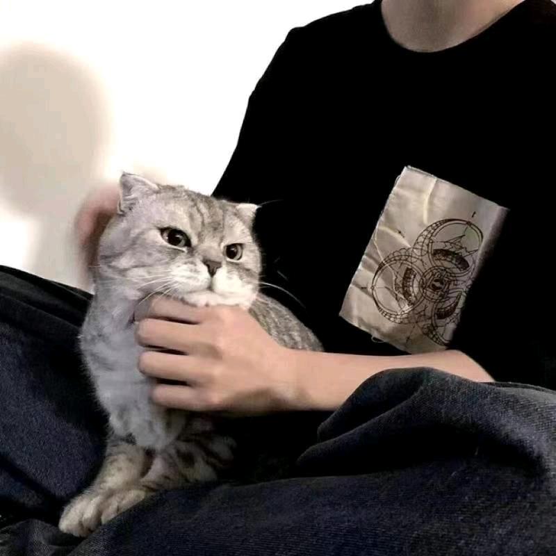 朔.