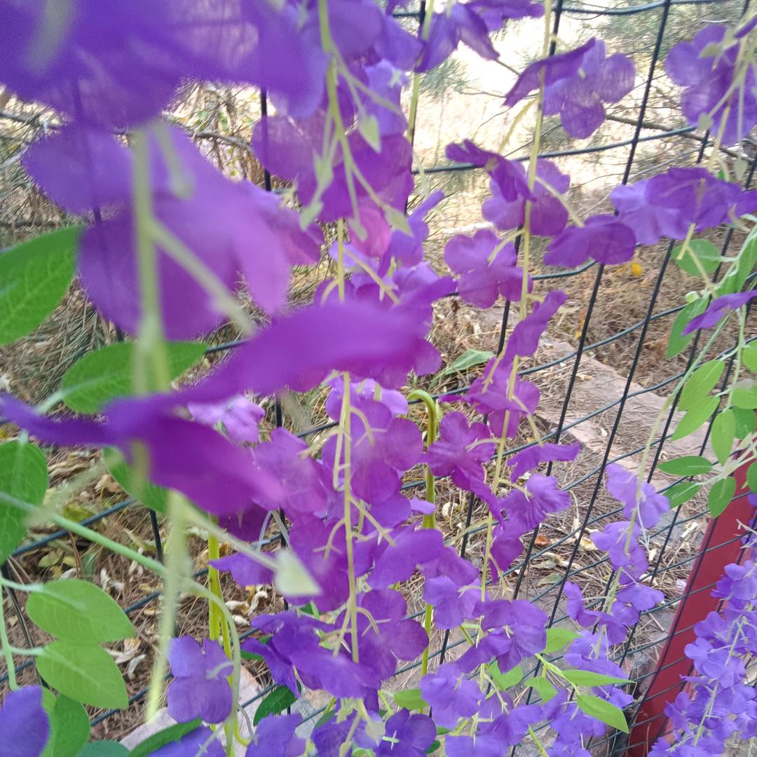 江湖套路深，人心最难测