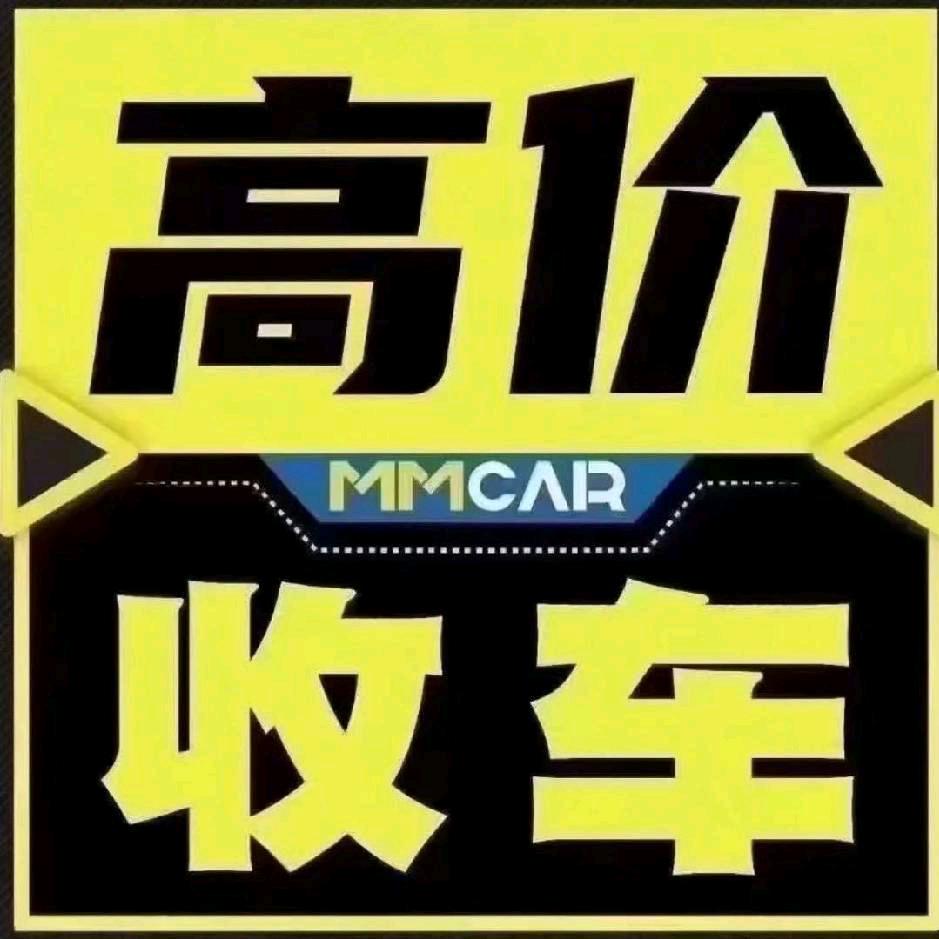 湖北以车会友