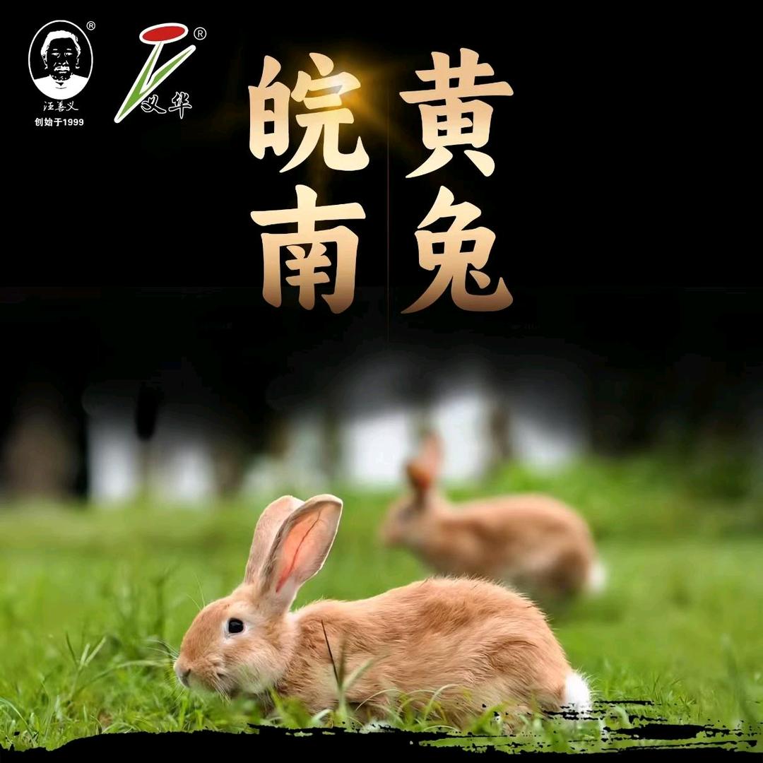 徽客厅 皖南义华黄兔