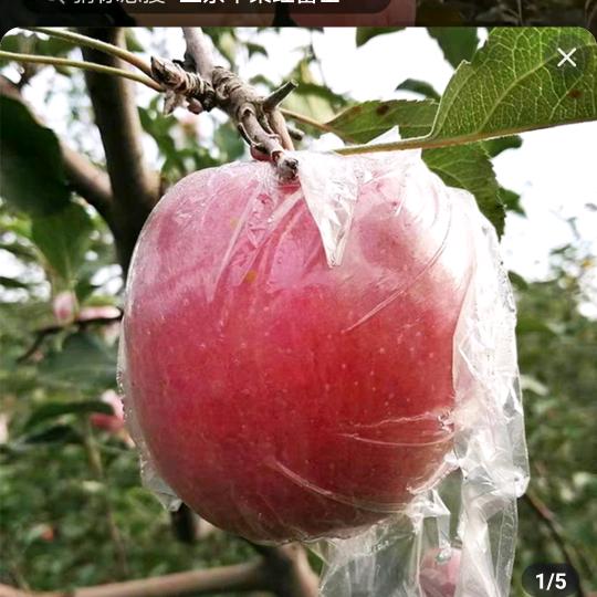 收（徒）搭建直播间