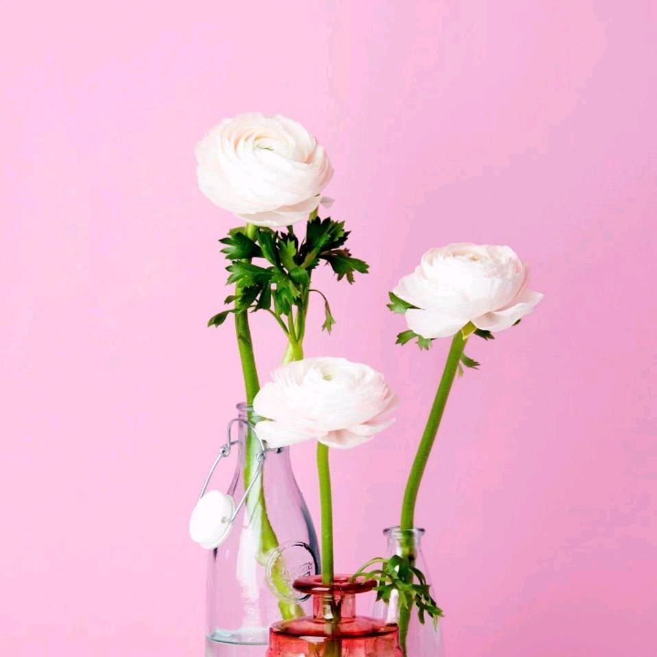 繁花似锦