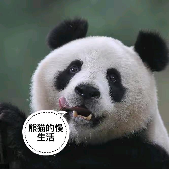 铁手无情
