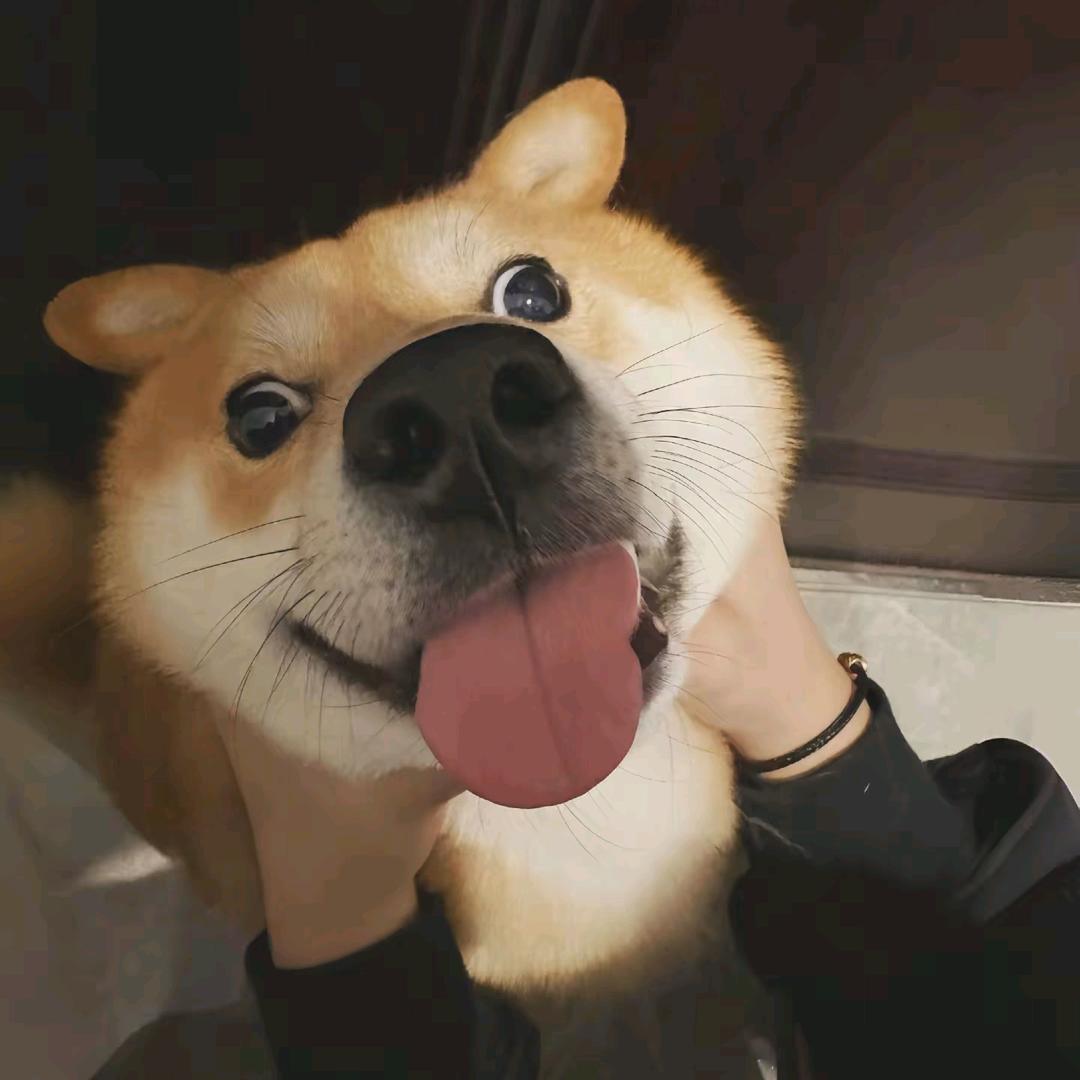 子亦