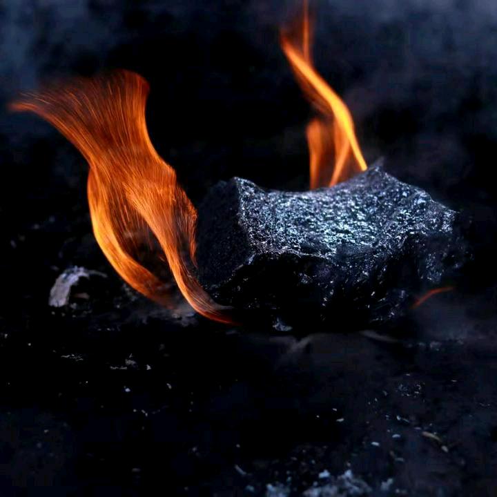 蒲氏砂锅经营部