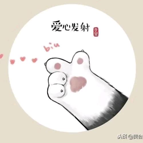不必不必