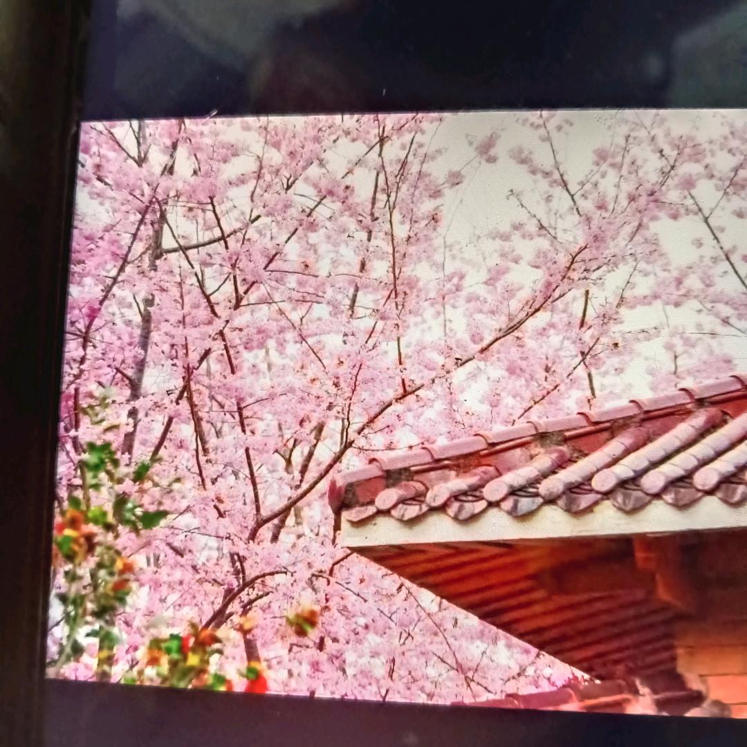 馨馨奶奶