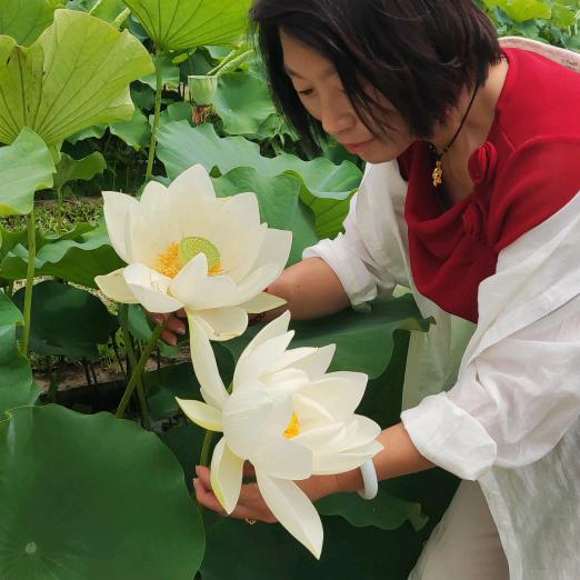 一枝花