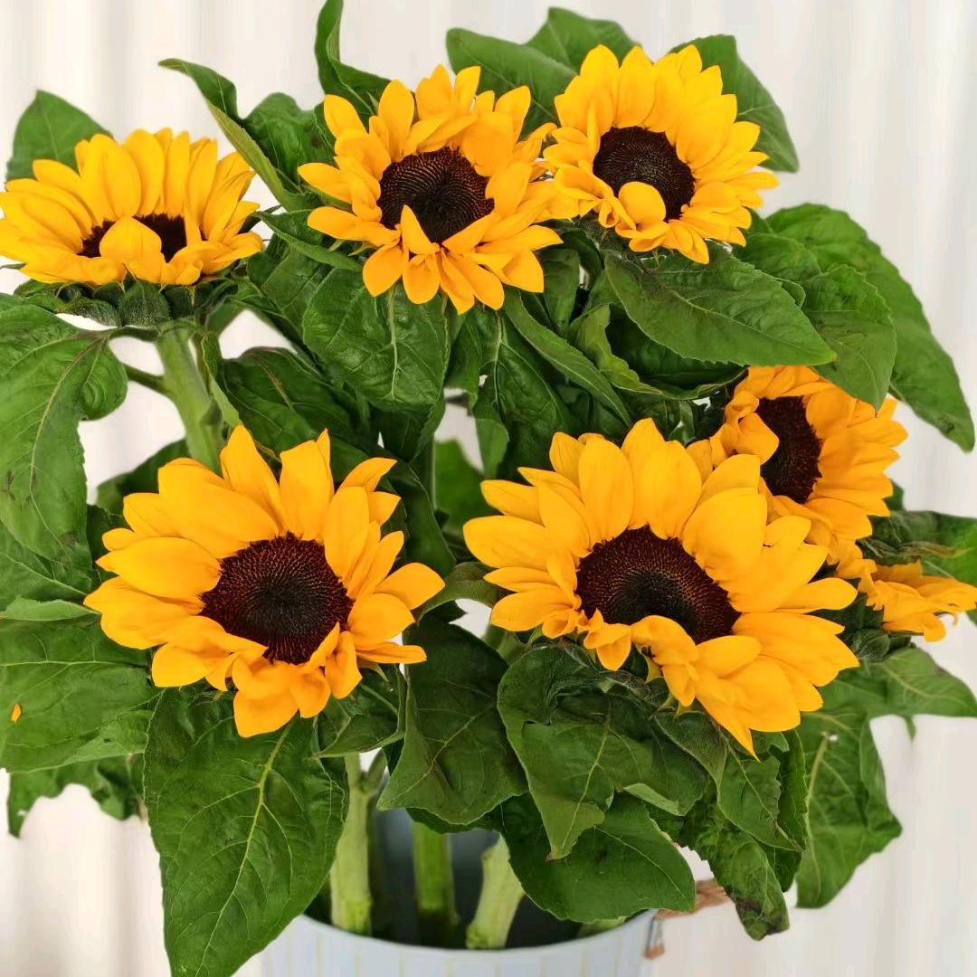 喜•拾里花艺工坊