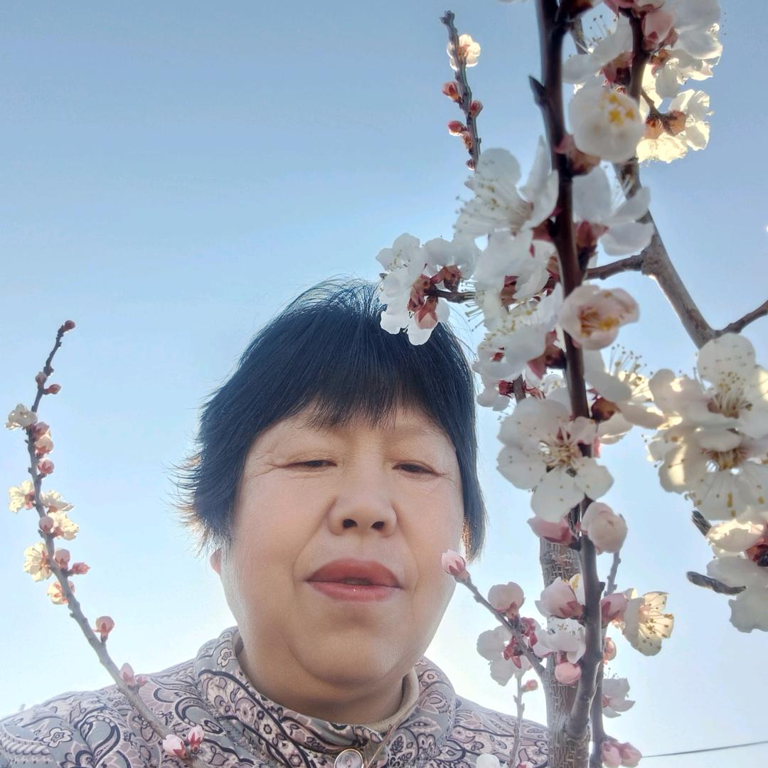 高姐