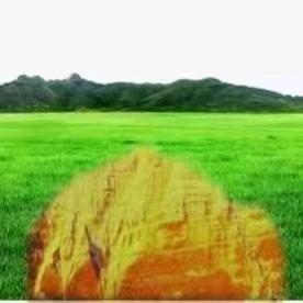 福德深学