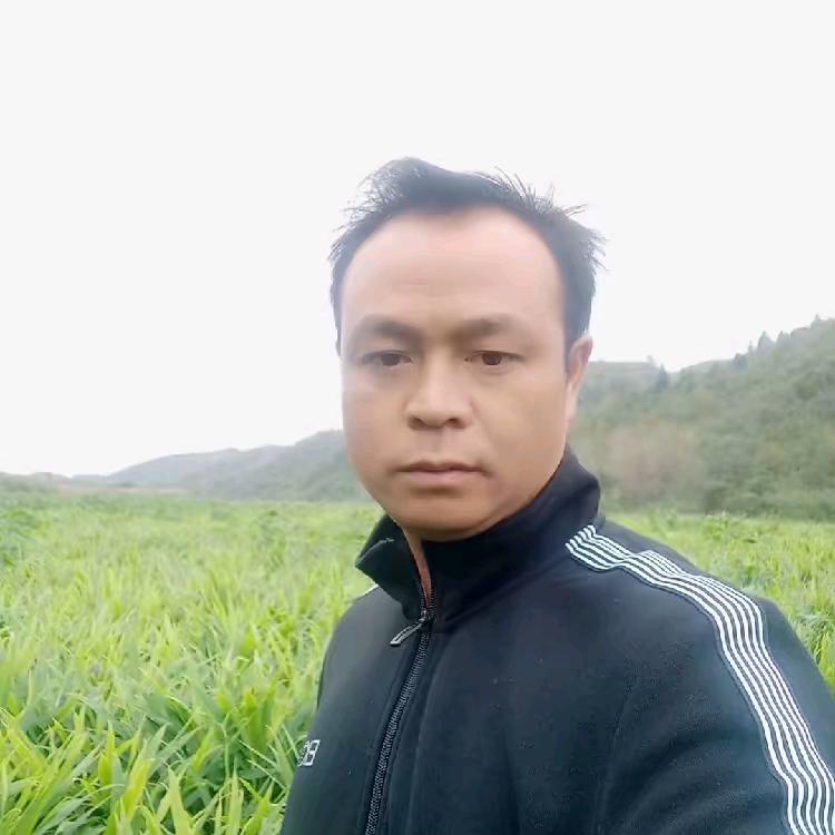 姜湖浪子