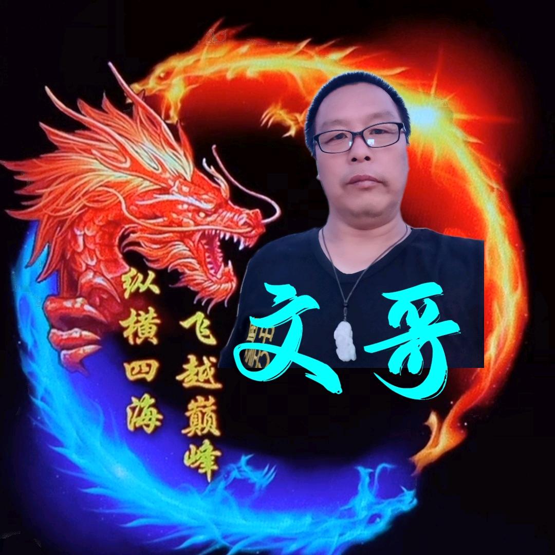 🐬文🐬哥🐬