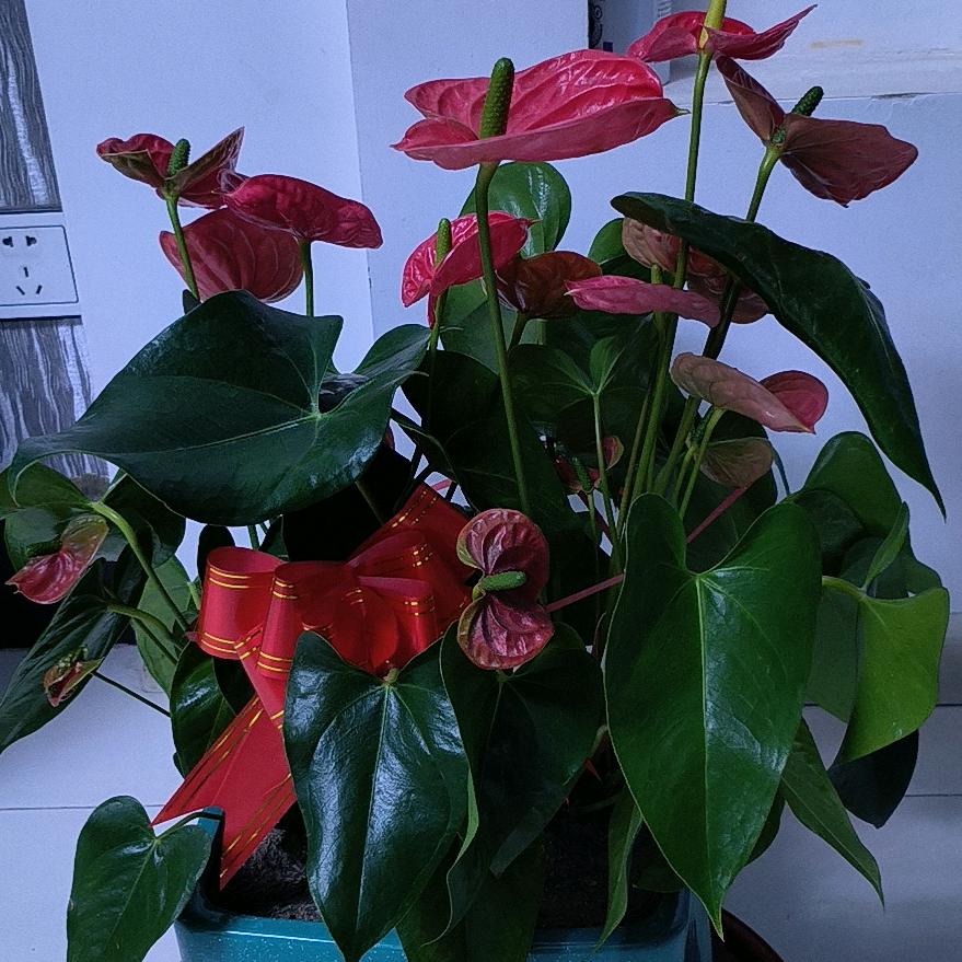 清真回忆真味餐厅