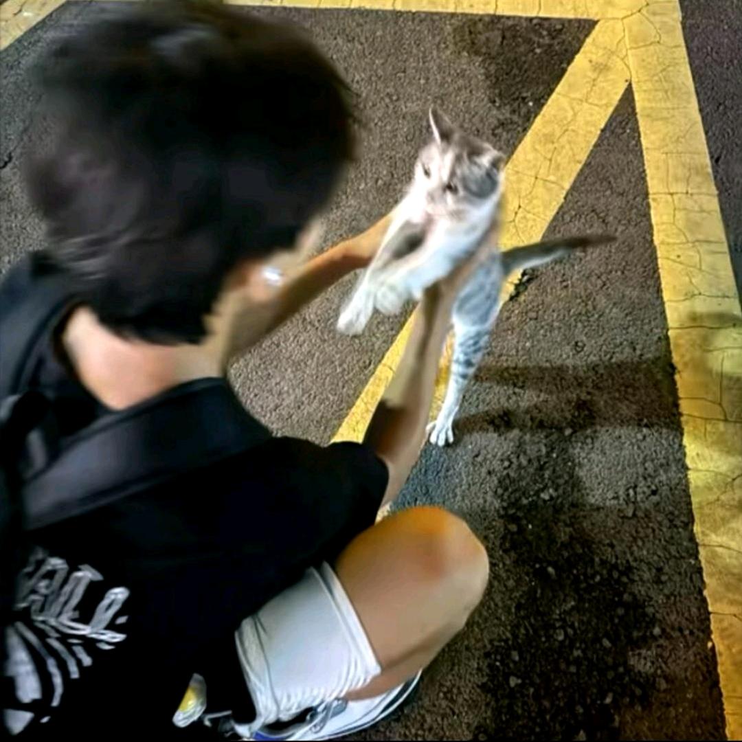 訴情·