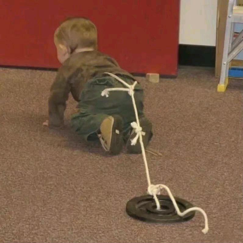 梦想是展背牛蛙