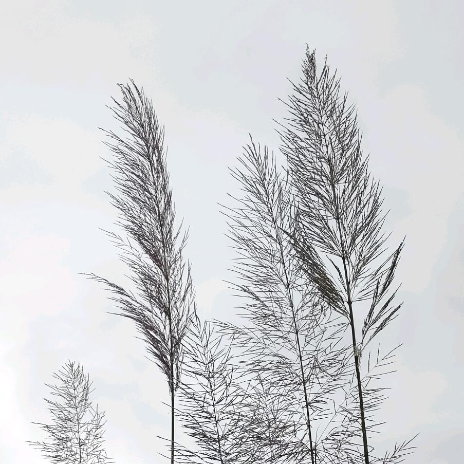 刘连忘返🔥⁵²⁷