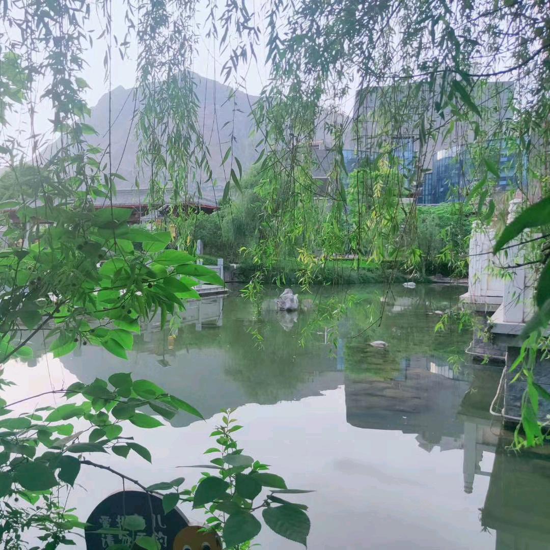读诗听雨