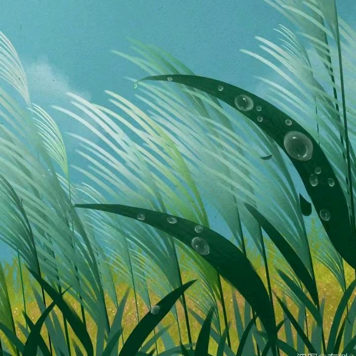 ꧁꧁Liusange꧂꧂